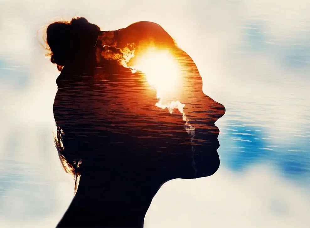 A woman 's head with the sun shining through her face.